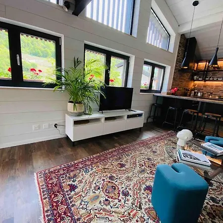 Avec Mezzanine Apartment Conthey